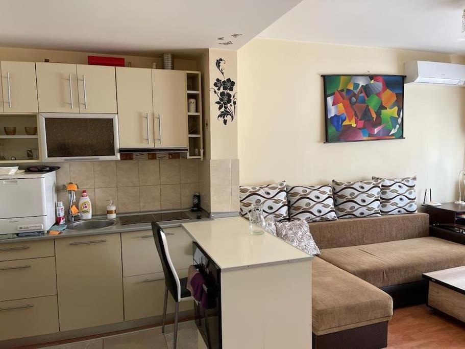 Apartament Cu Un Dormitor / One Bedroom Apartment Satu Mare Exterior foto